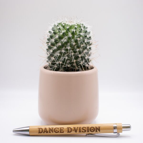 Wooden pen Dance D-vision Thumbnail